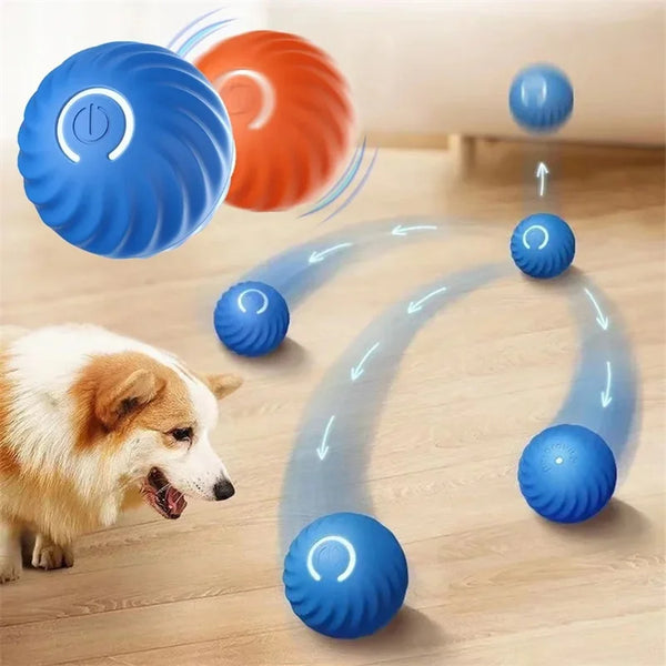 Pelota Inteligente Saltarina para Cachorros y Gatitos